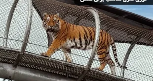 توری فلزی مناسب برای قفس