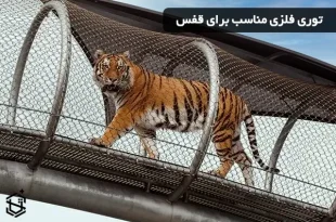 توری فلزی مناسب برای قفس