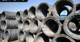 Low Carbon Steels