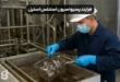 فرایند پسیواسیون استنلس استیل